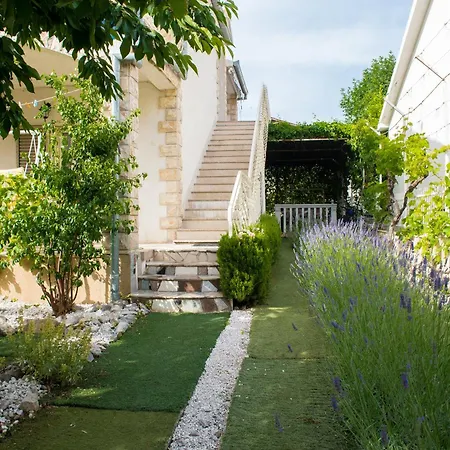 公寓 Olga Matic 沃迪切