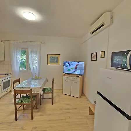 公寓 Olga Matic 沃迪切