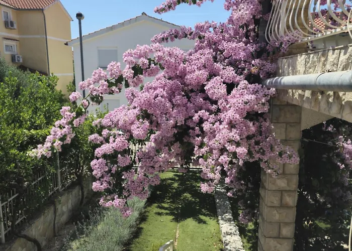 Apartment Olga Matic Vodice