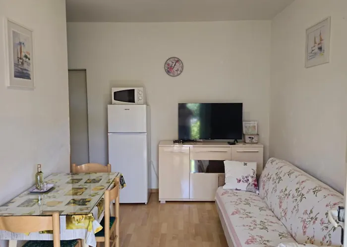 Apartment Olga Matic