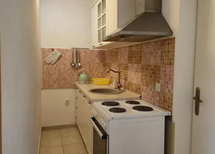 Olga Matic فوديس